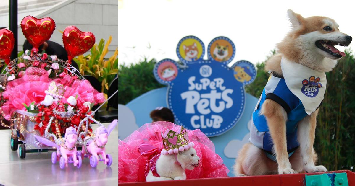 SM Super Pets Club throws epic 1st birthday bash at SM Aura Skypark